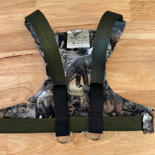 Medium Dinosaur 🦖