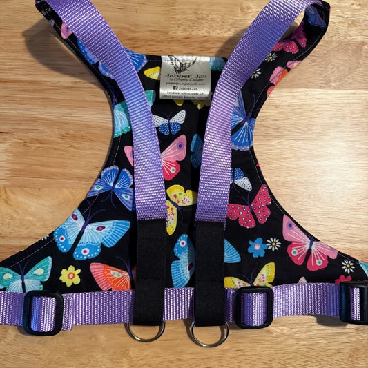 XL/adult small butterfly