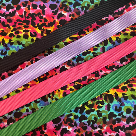 Rainbow leopard print